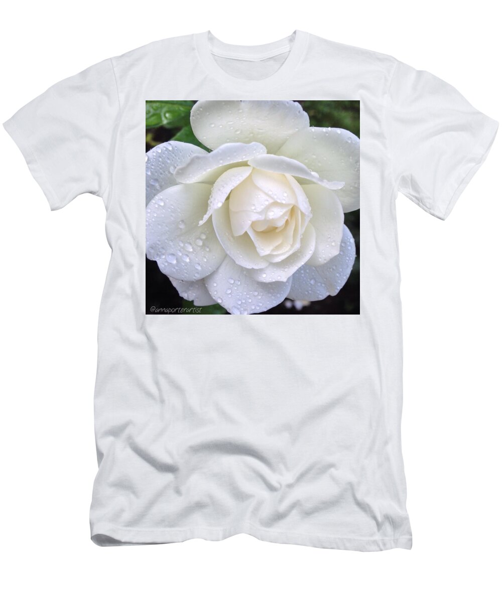 White Rose And Raindrops T-Shirt featuring the photograph White Rose and Raindrops #1 by Anna Porter