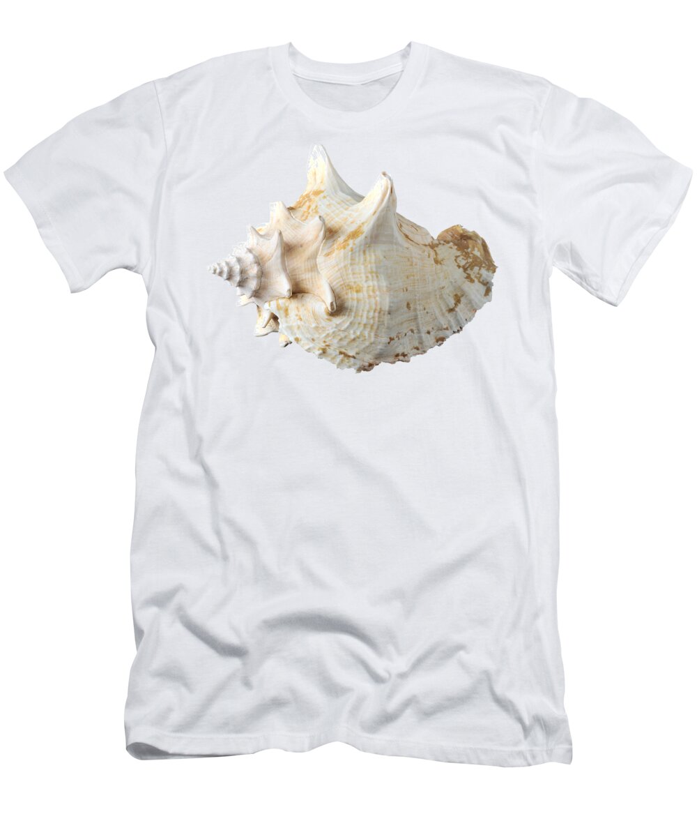 Shell T-Shirt featuring the photograph Sea shell #10 by George Atsametakis