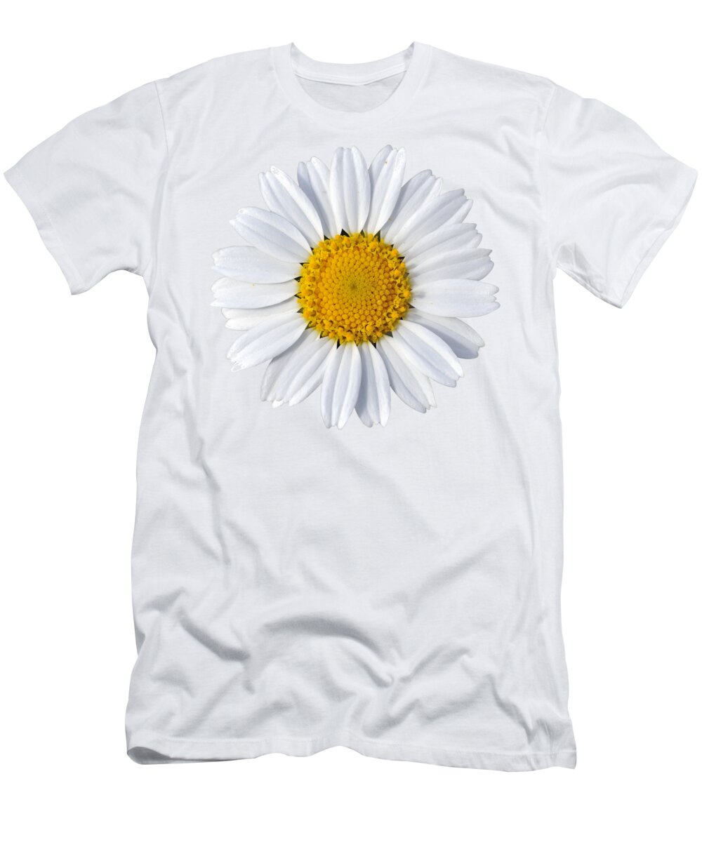 Daisy; Anthemis Chia; White; Yellow; Flower; Wild; Plant; Spring; Daisies; Flowers; Springtime; Nature; Flora; Bloom; Blooming; Blossom; Blossoming; Color; Colorful; Earth; Environment; Macro; Close-up; Detail; Details; Esthetic; Esthetics; Artistic; Beautiful; Beauty T-Shirt featuring the photograph Daisy #11 by George Atsametakis