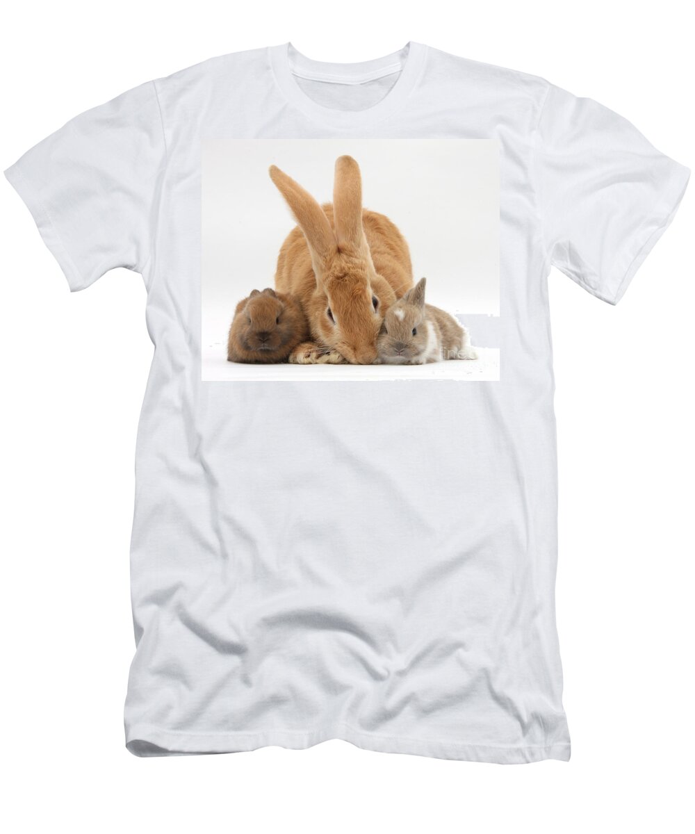 Nature T-Shirt featuring the photograph Rabbits #11 by Mark Taylor