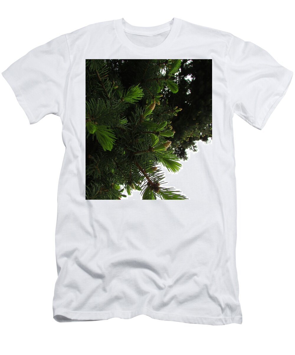 Tree T-Shirt featuring the photograph Tree #14 by Jackie Russo