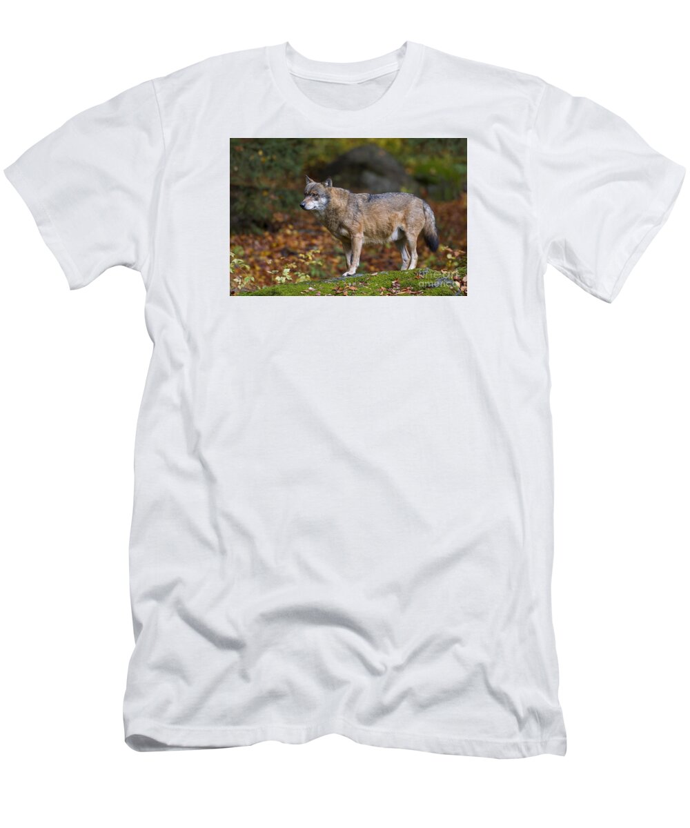 Europe T-Shirt featuring the photograph 151221p044 by Arterra Picture Library