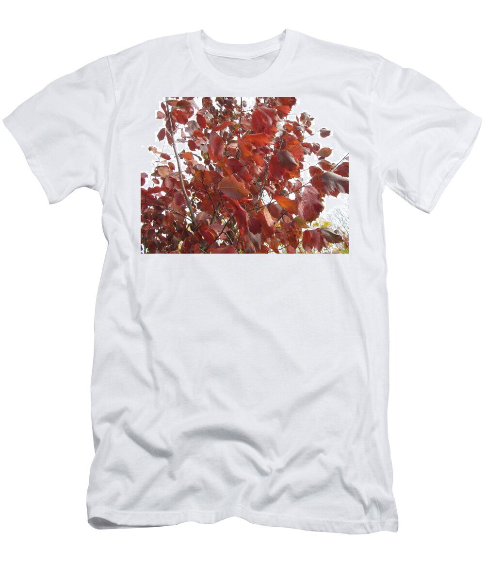 Leaf T-Shirt featuring the photograph Leaf #16 by Mariel Mcmeeking