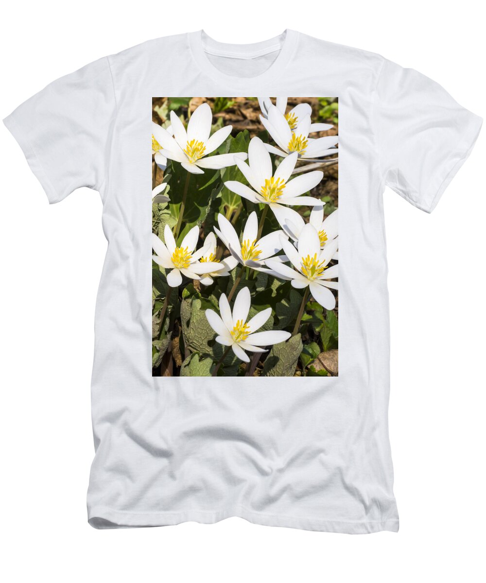 Flowers T-Shirt featuring the photograph Bloodroot flowers 2 by Steven Ralser