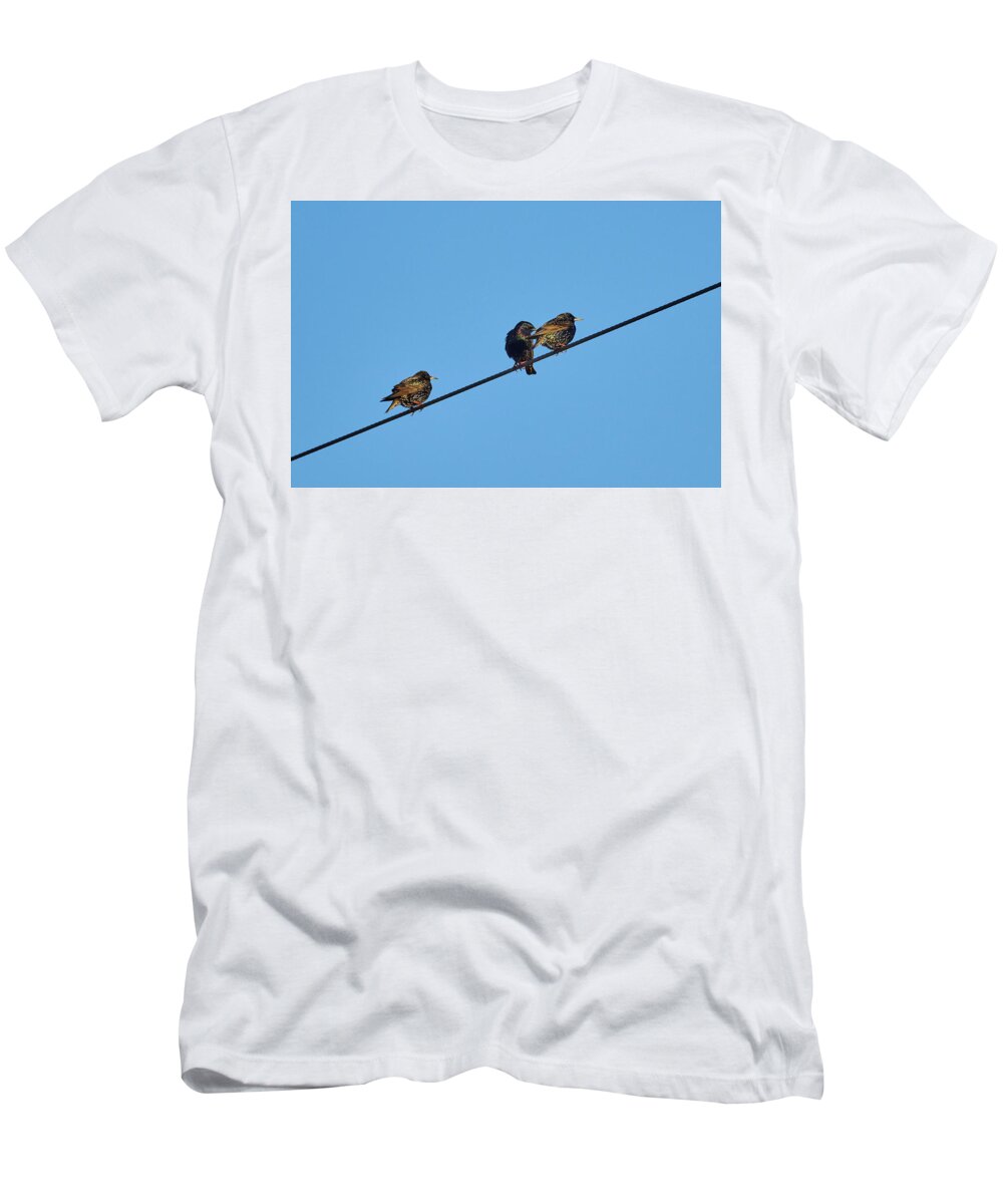 Lehtokukka T-Shirt featuring the photograph European starling #2 by Jouko Lehto