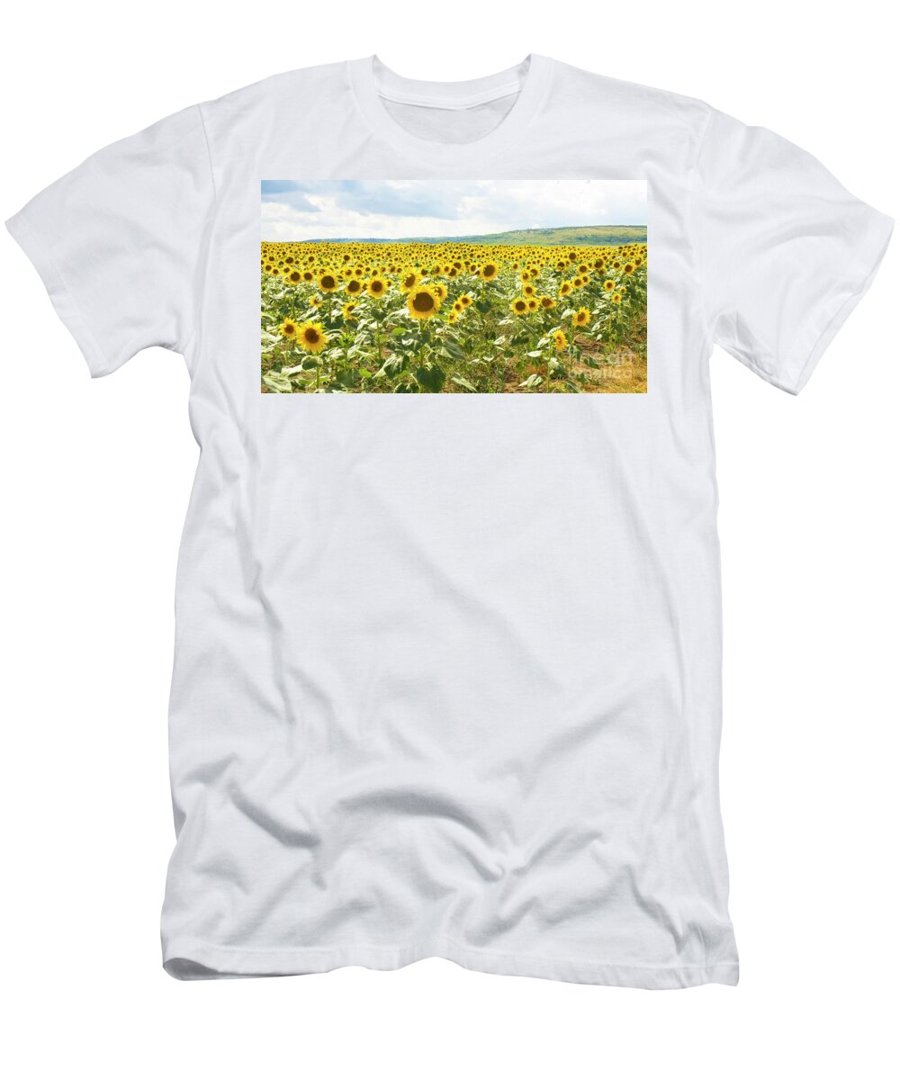 Sunflower T-Shirt featuring the photograph Field with sunflowers #2 by Irina Afonskaya