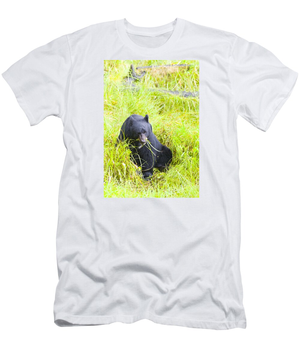 Wildlife. Black Bear T-Shirt featuring the photograph Got the Munchies #2 by Harold Piskiel