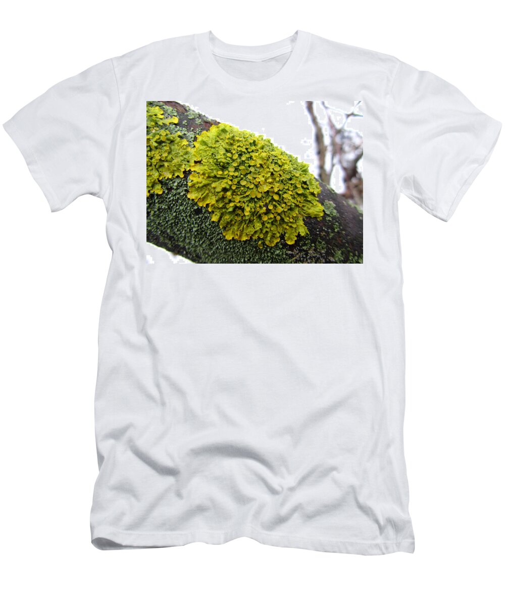 Moss T-Shirt featuring the photograph Moss #2 by Mariel Mcmeeking