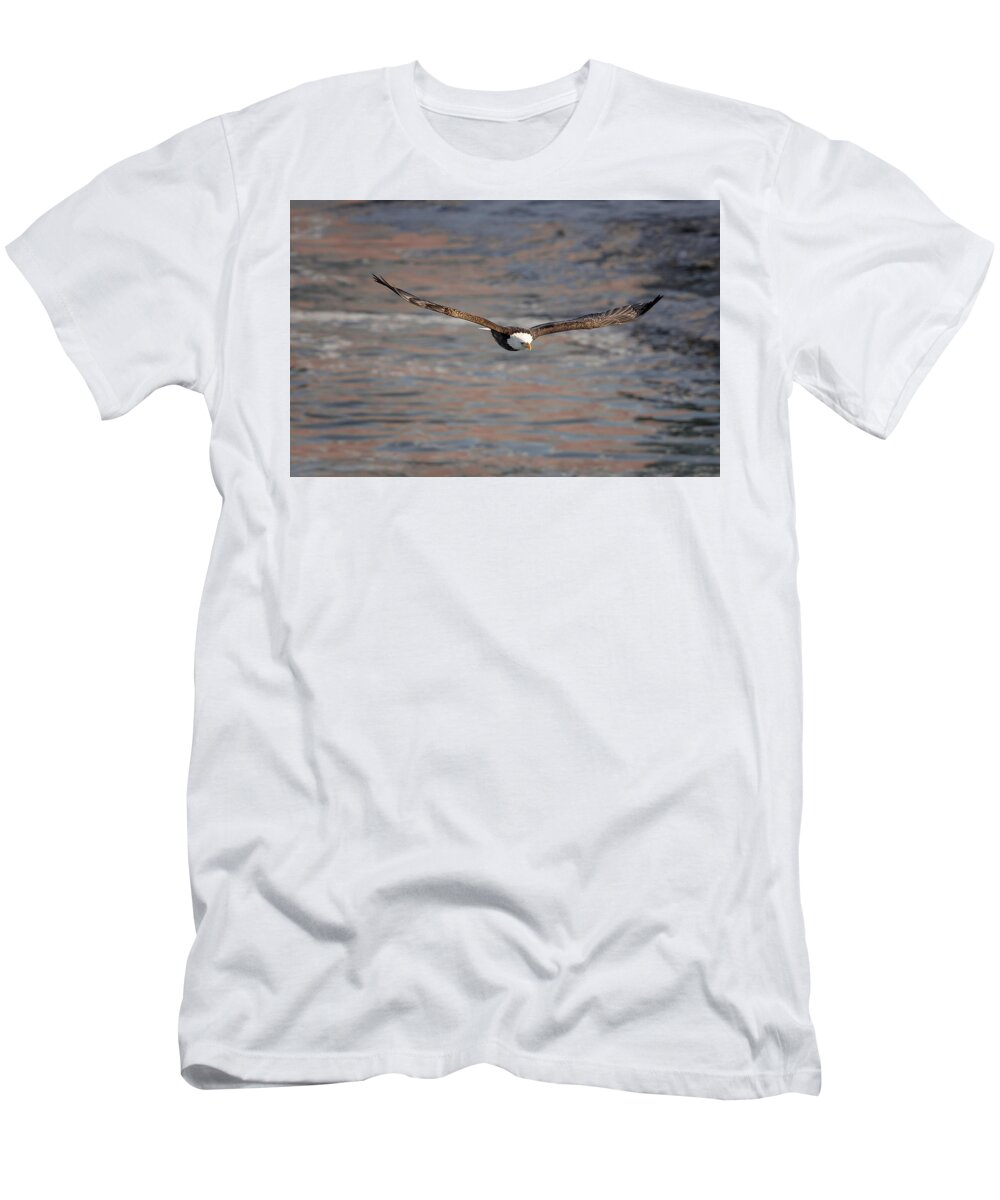 Illinois T-Shirt featuring the photograph Bald Eagle by Peter Lakomy