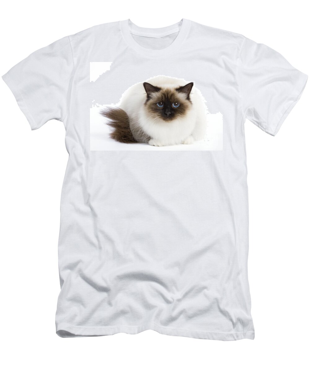 Cat T-Shirt featuring the photograph Birman Cat #3 by Jean-Michel Labat