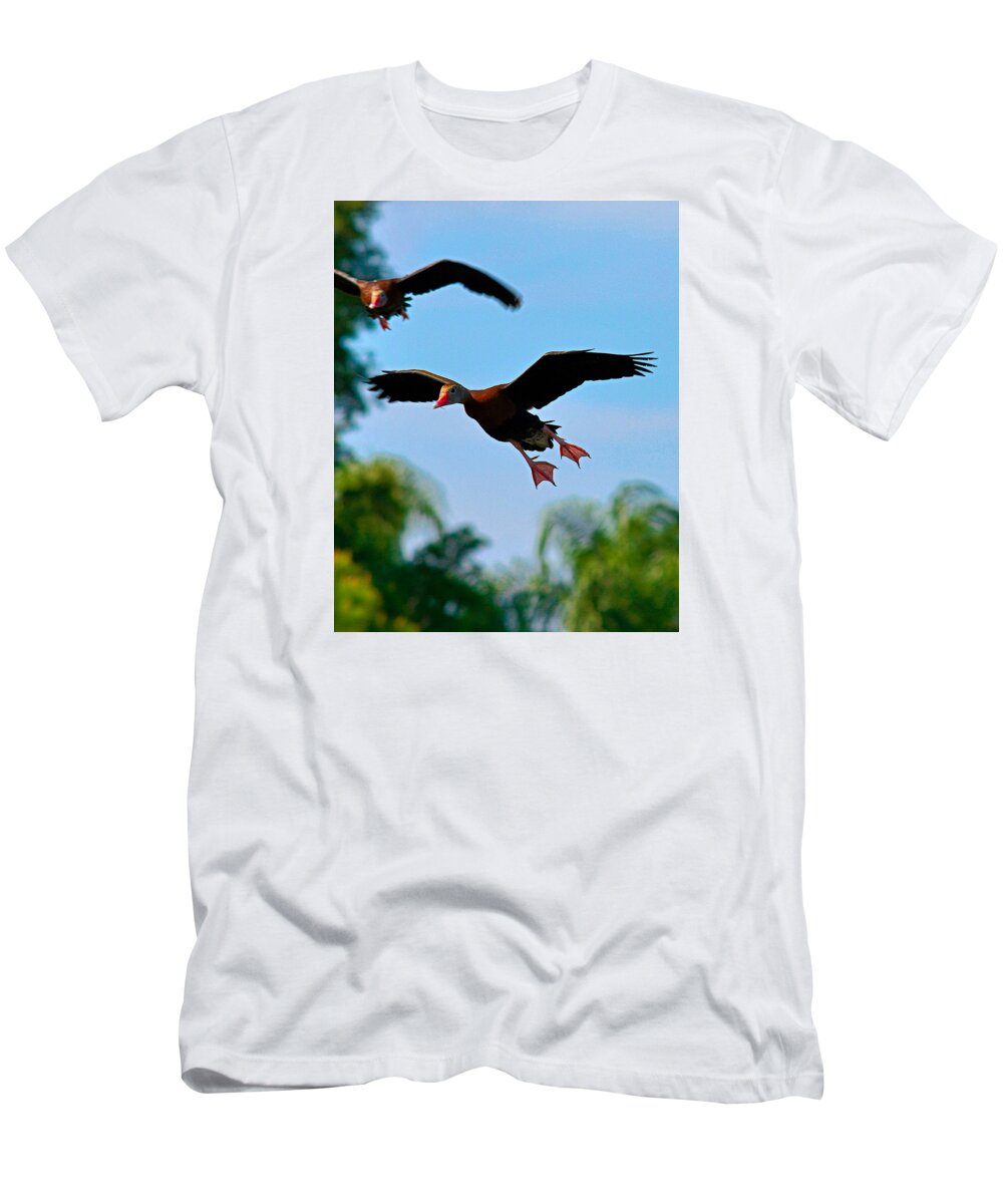 Birds T-Shirt featuring the photograph 3 D by Alison Belsan Horton