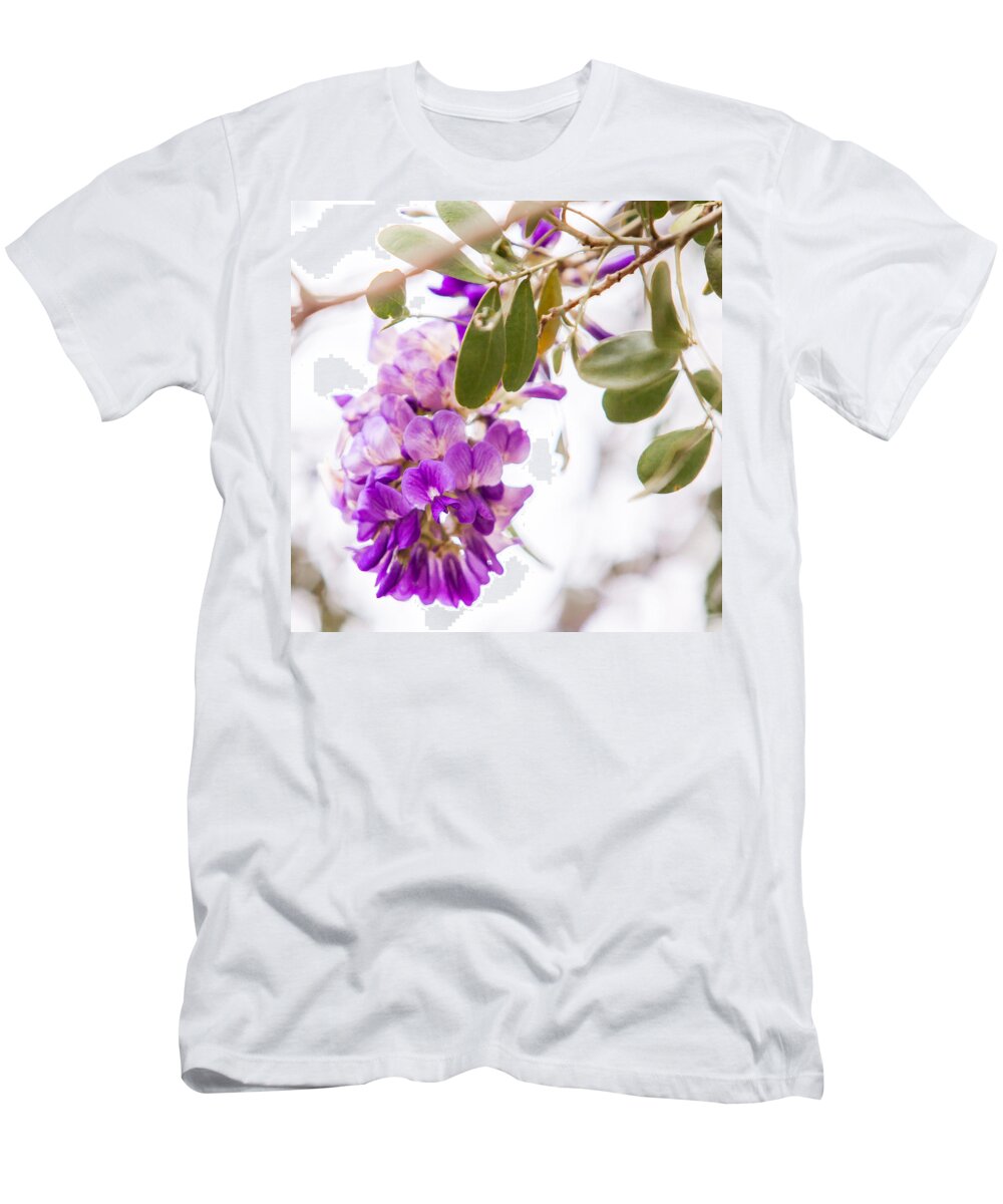 Country T-Shirt featuring the photograph Study in Purple and Pink 2 by Melinda Ledsome