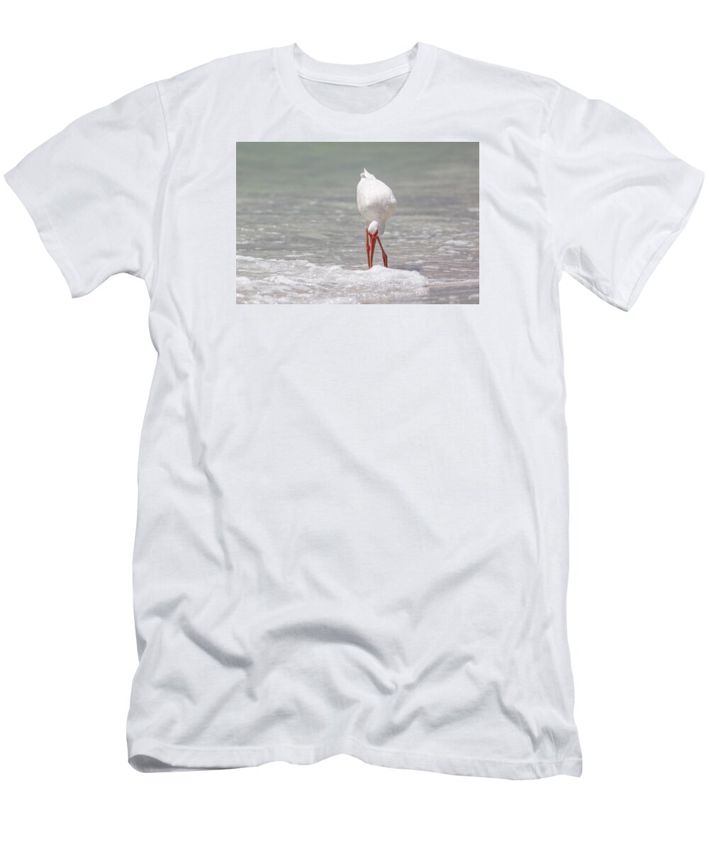 Naples T-Shirt featuring the photograph White Ibis by Peter Lakomy