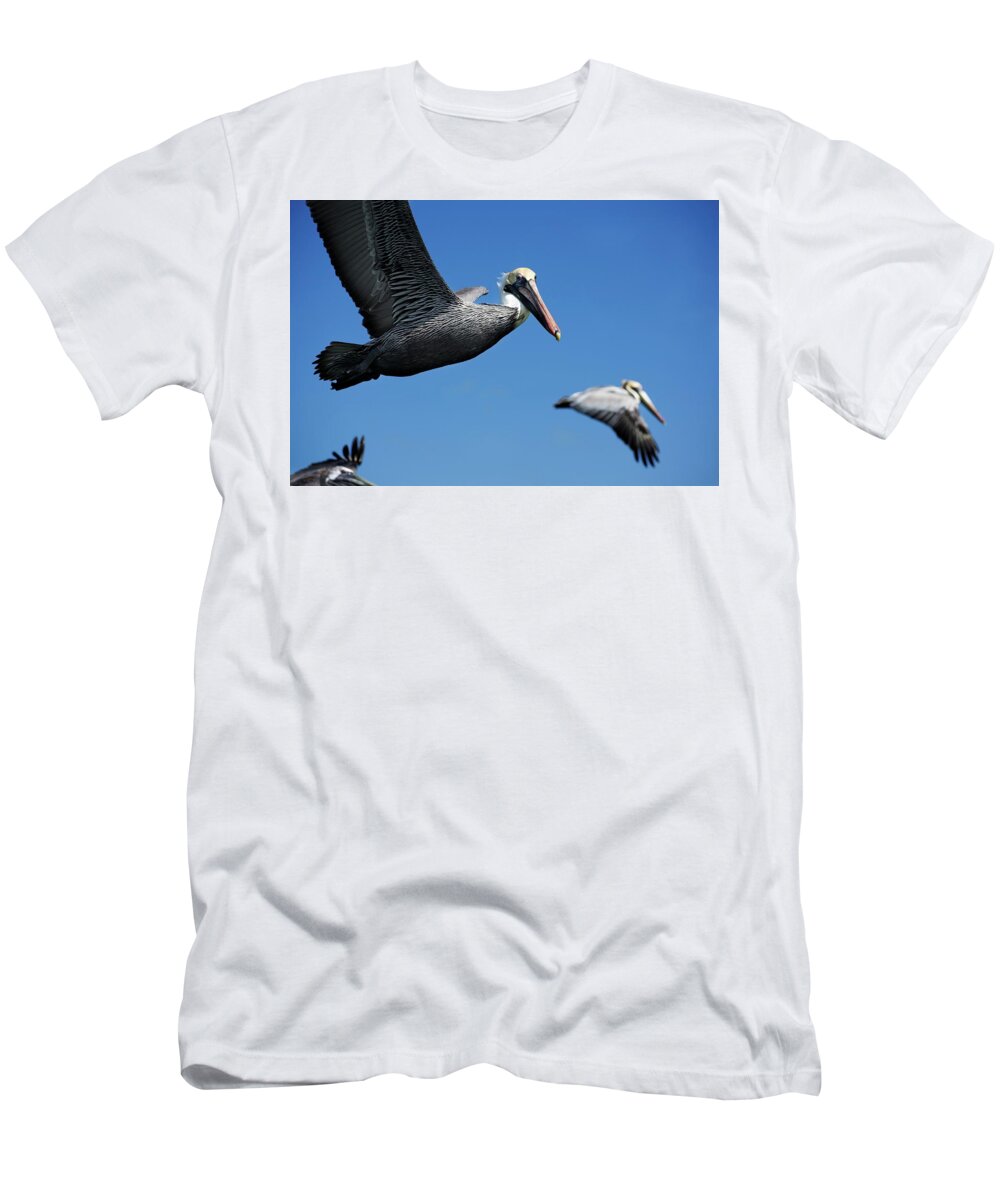 Birds T-Shirt featuring the photograph Wildlife in Mexico #8 by Robert Grac
