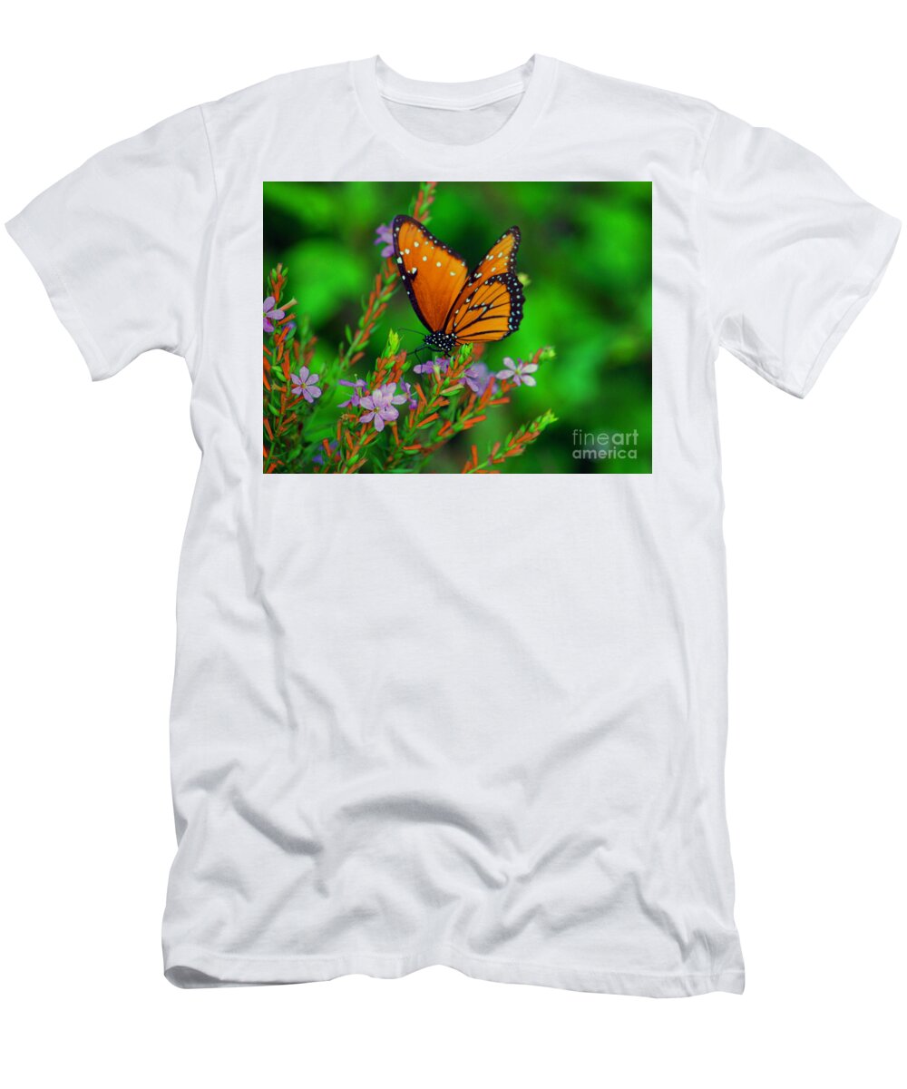 Viceroy Butterfly T-Shirt featuring the photograph 56- Viceroy Butterfly by Joseph Keane