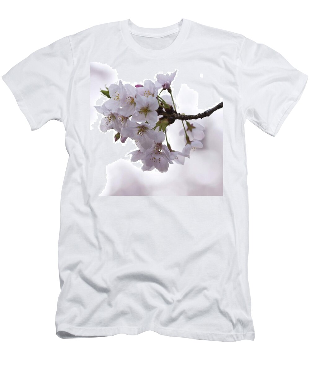 春 T-Shirt featuring the photograph Instagram Photo #581473684881 by Kujira Nijino