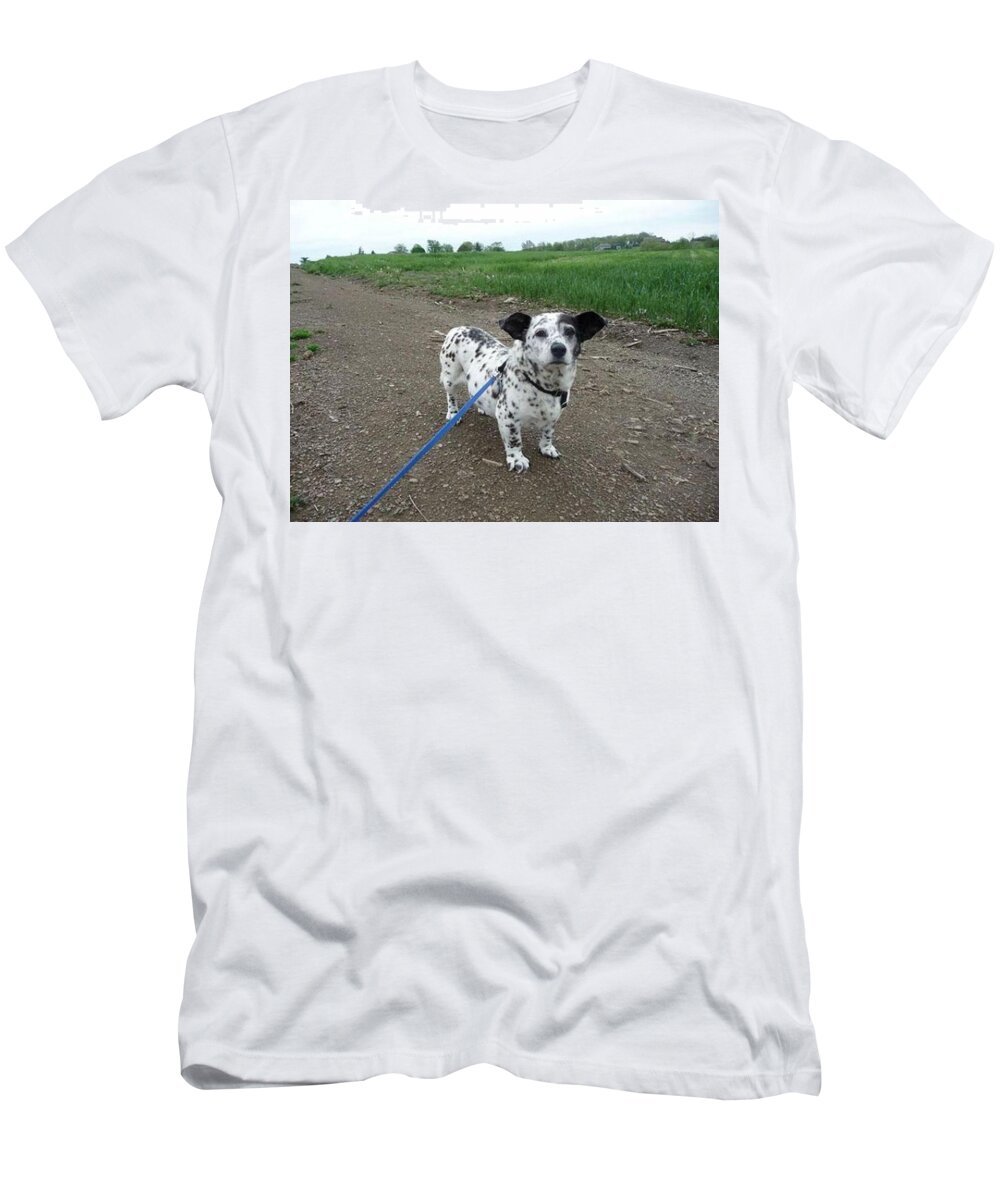 Crossbreed T-Shirt featuring the photograph Crossbreed #6 by Mariel Mcmeeking