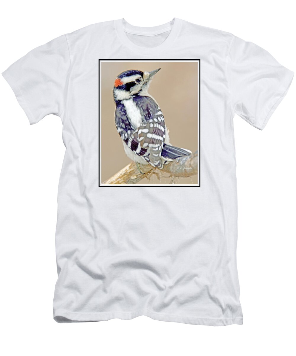 Picoides Pubescens T-Shirt featuring the photograph Downy Woodpecker Male on Tree Limb #6 by A Macarthur Gurmankin