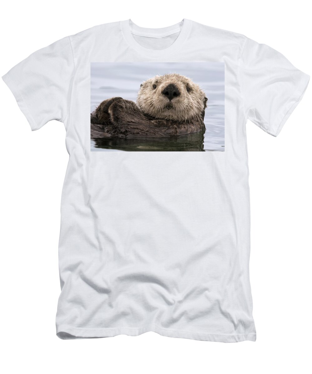 00429873 T-Shirt featuring the photograph Sea Otter Elkhorn Slough Monterey Bay by Sebastian Kennerknecht