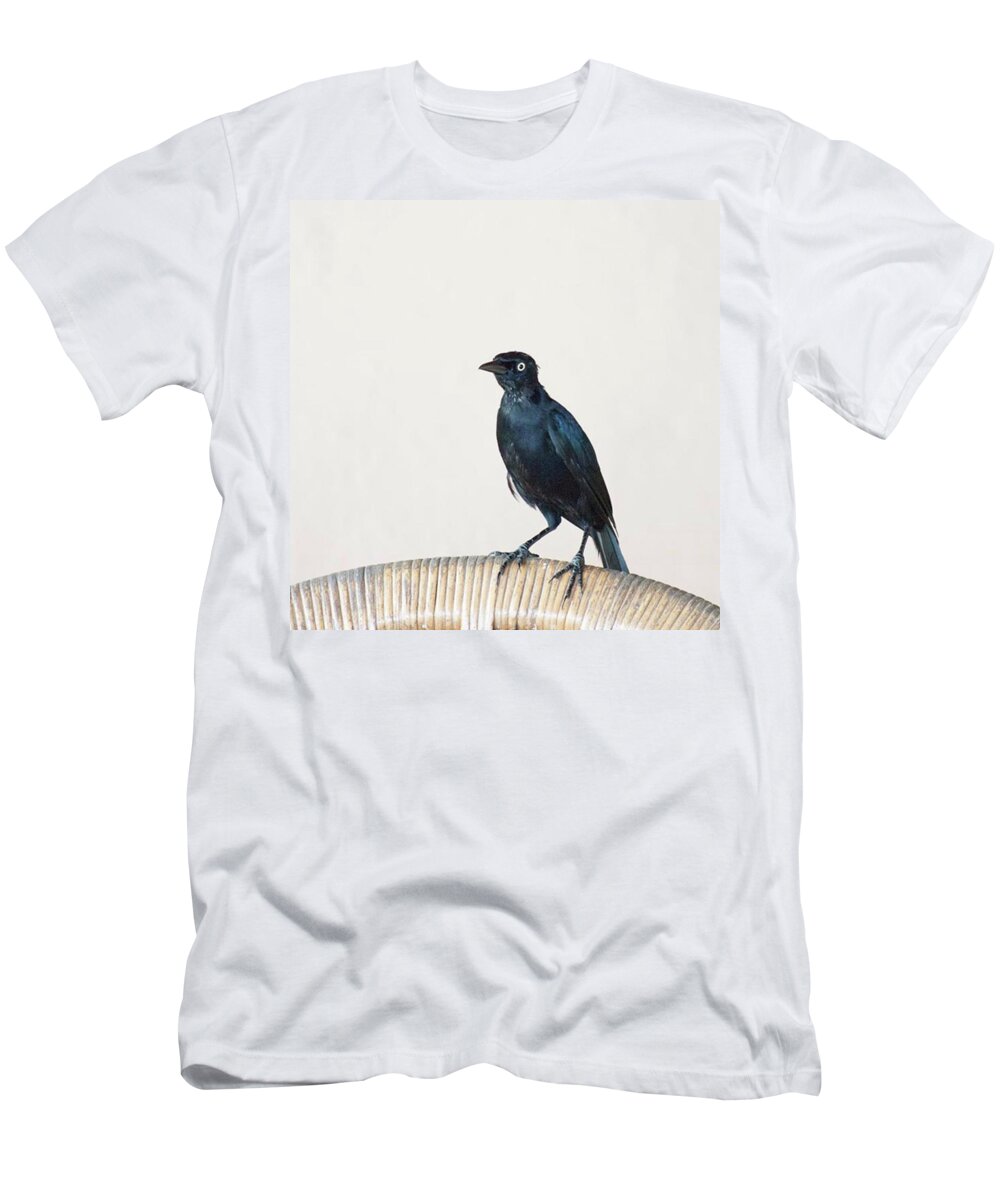Caribgrackle T-Shirt featuring the photograph A Carib Grackle (quiscalus Lugubris) On by John Edwards
