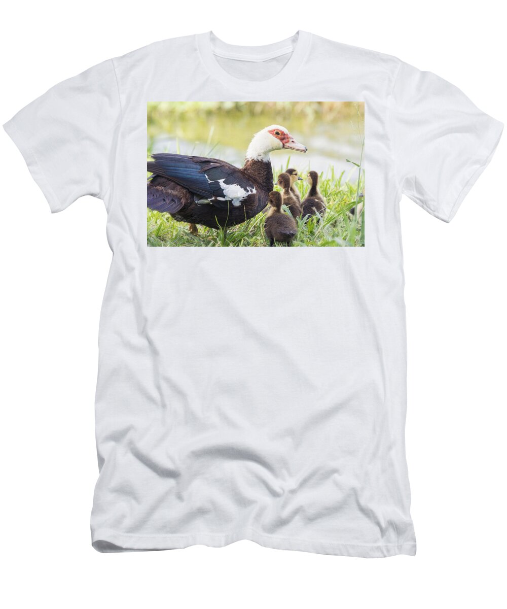 Muscovy Duck T-Shirt featuring the photograph A Family Outing by Saija Lehtonen