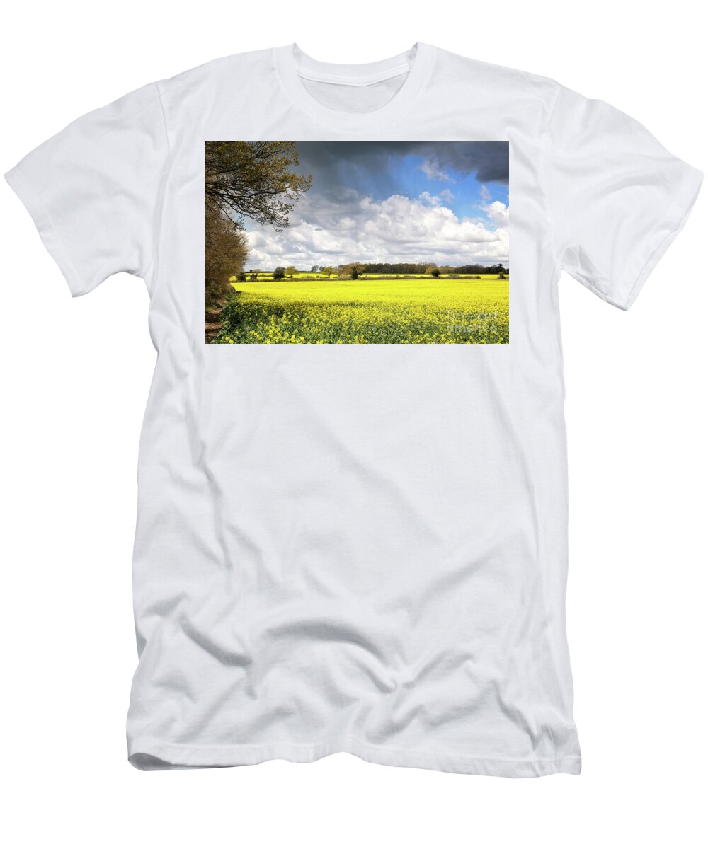 Rape T-Shirt featuring the photograph A field of rape flowers by Jane Rix