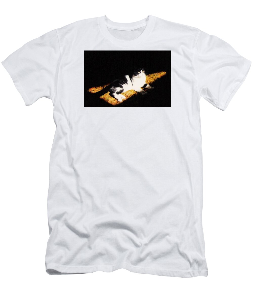 Cat T-Shirt featuring the photograph A Place In The Sun by Kevin B Bohner