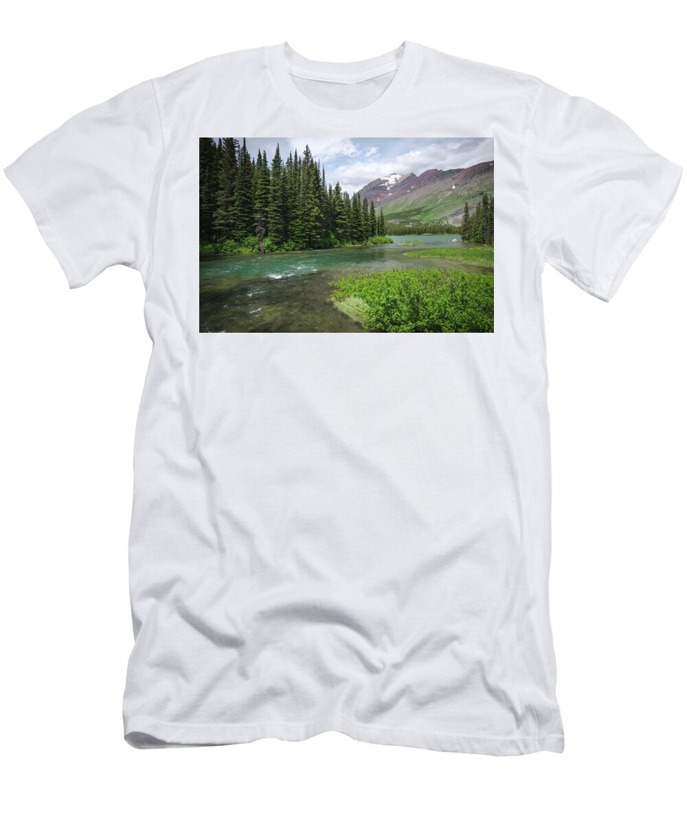 Glacier T-Shirt featuring the photograph A Walk in the Forest by Margaret Pitcher