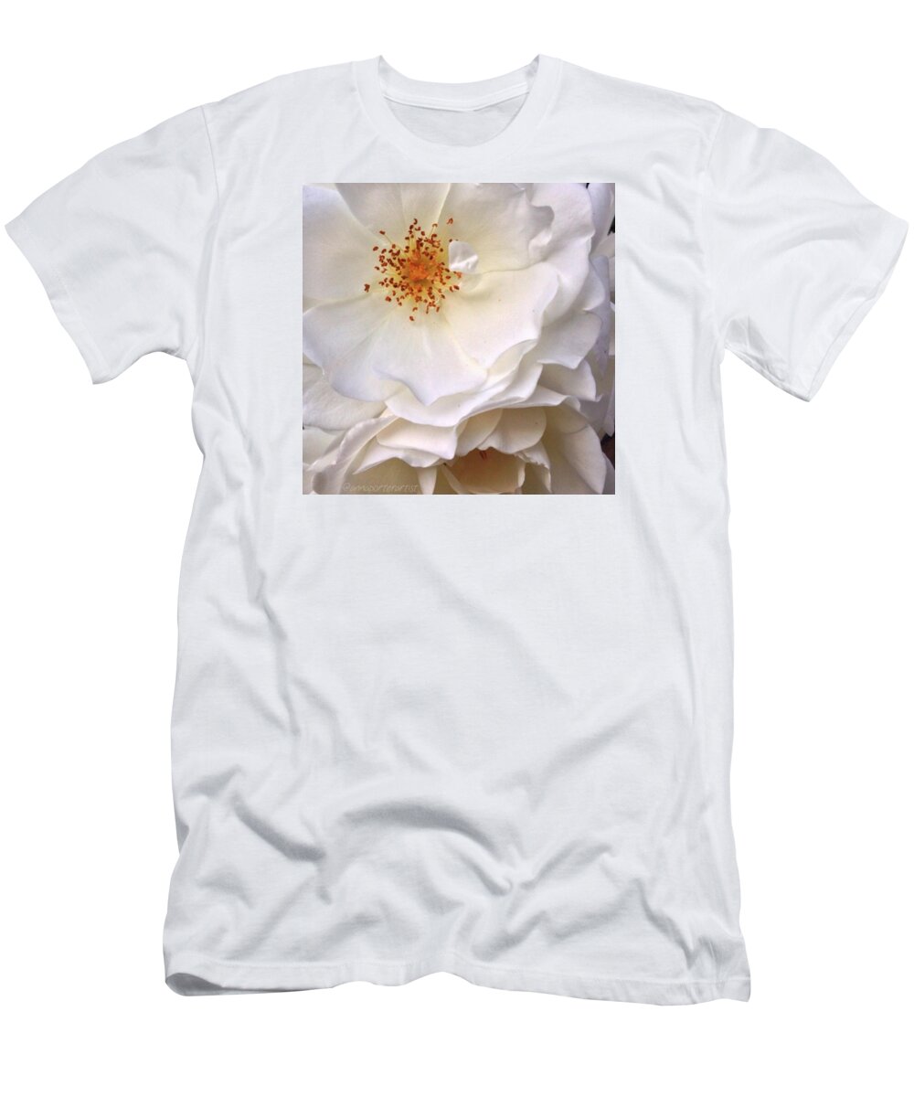 A Whiter Shade Of Pale T-Shirt featuring the photograph A Whiter Shade Of Pale by Anna Porter