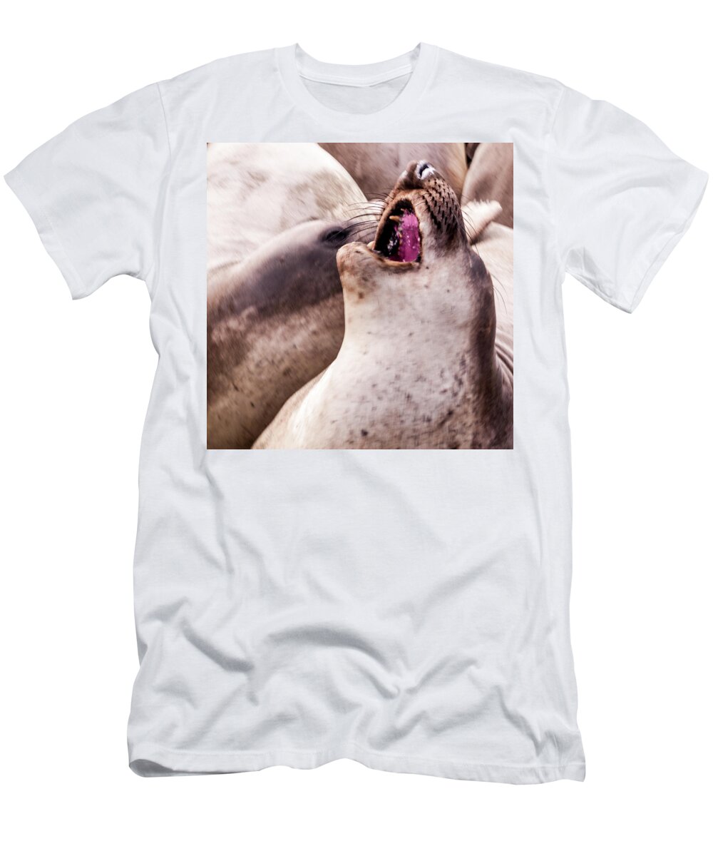 Animals T-Shirt featuring the photograph Acappella by Stewart Helberg