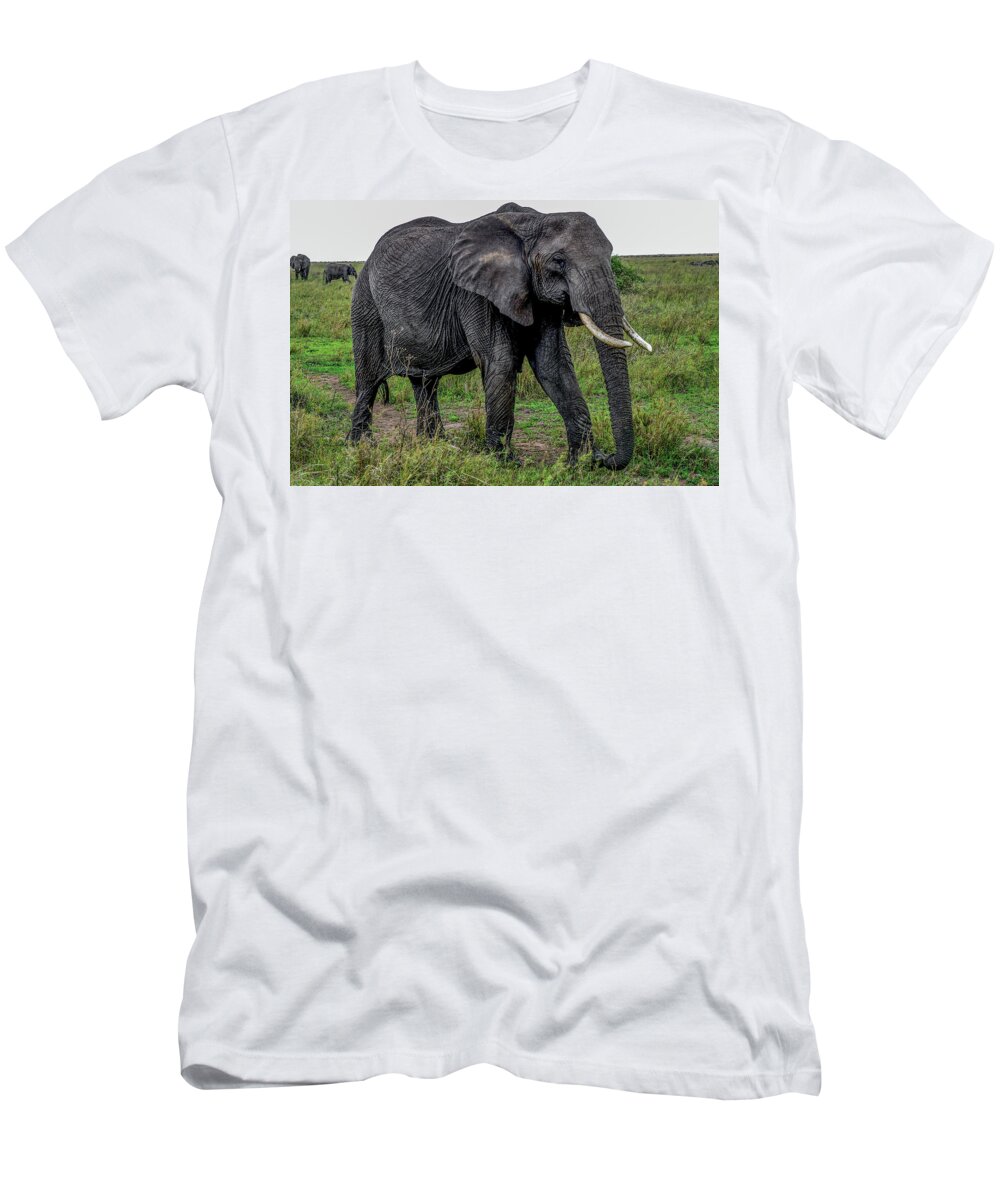 Africa T-Shirt featuring the photograph African Elephant by Marilyn Burton