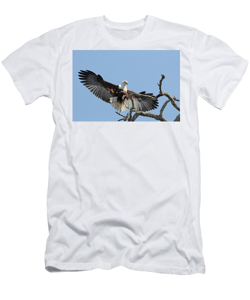 Africa T-Shirt featuring the photograph African Fish Eagle by Ted Keller