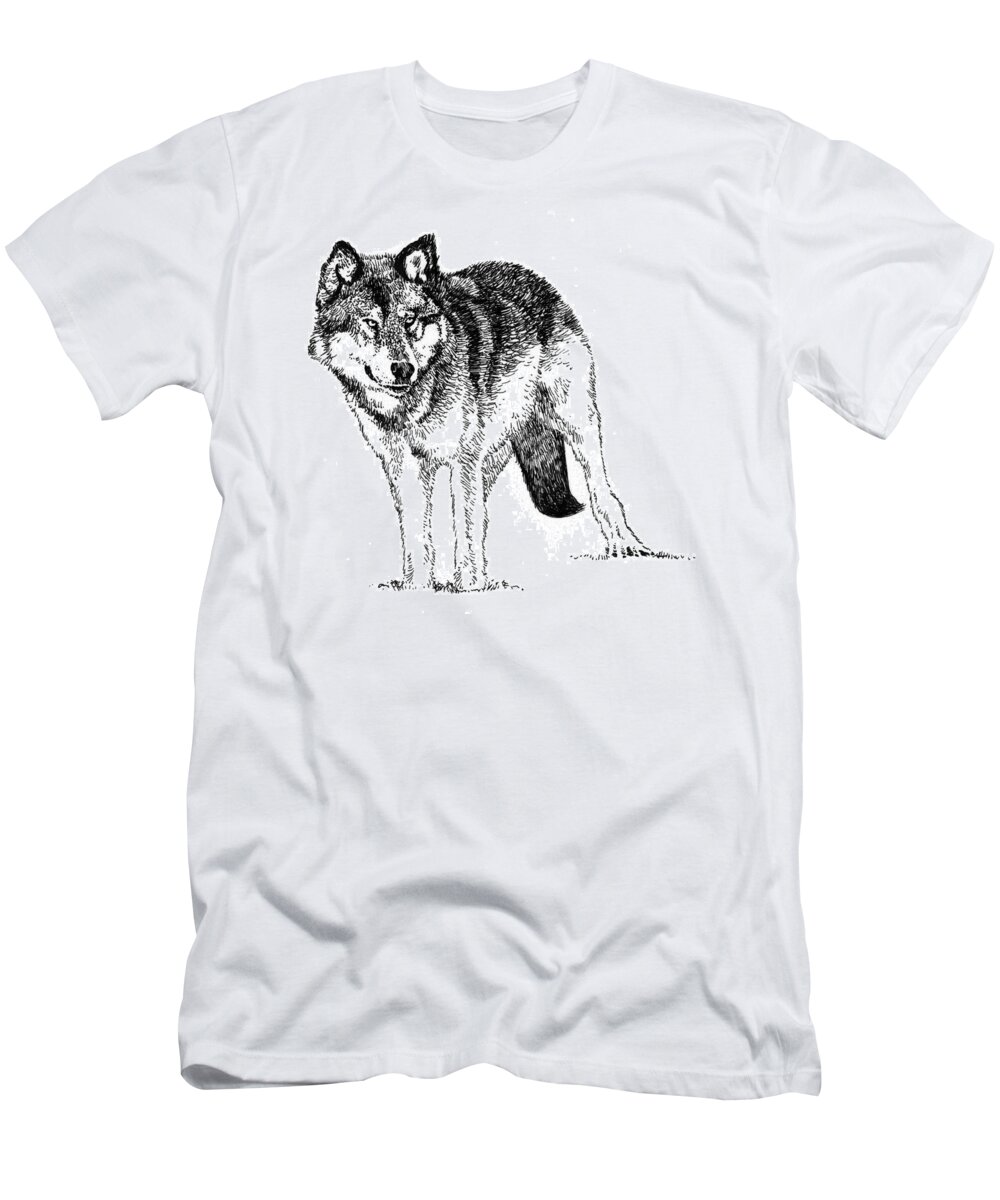 Alert T-Shirt featuring the drawing Alert Wolf by David Kleinsasser