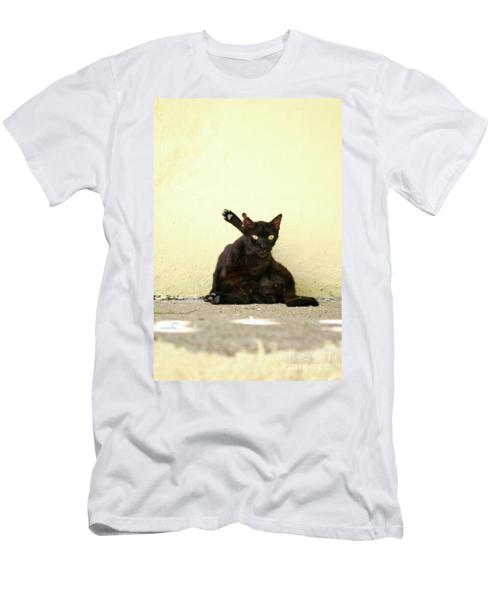 Cat T-Shirt featuring the photograph Alley Cat by Becqi Sherman