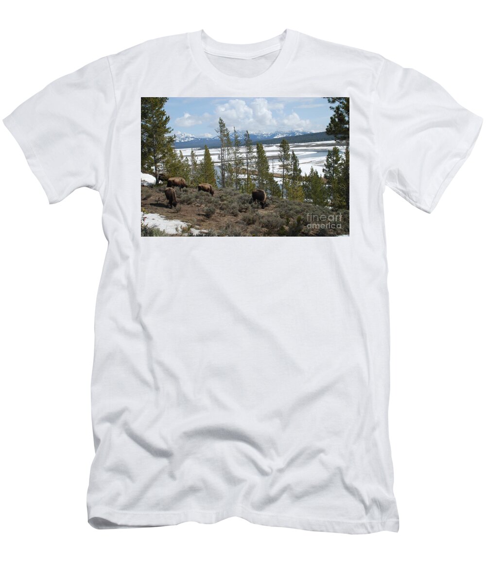 Bison T-Shirt featuring the photograph along the Yellowstone river by Jim Goodman