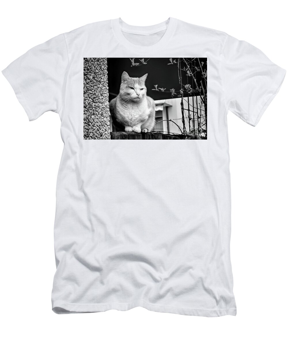Cat T-Shirt featuring the photograph Aloof by Mimulux Patricia No