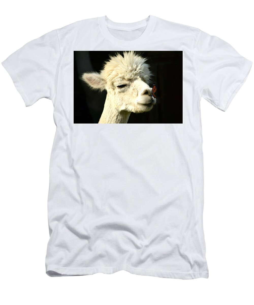 Alpaca T-Shirt featuring the photograph Alpaca Meets Butterfly by Ally White