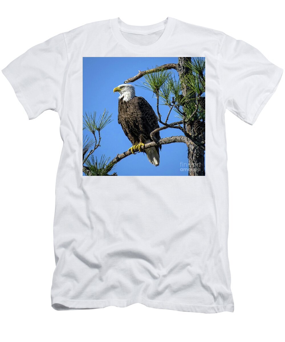 Nature T-Shirt featuring the photograph American Bald Eagle - Haliaeetus Leucocephalus by DB Hayes