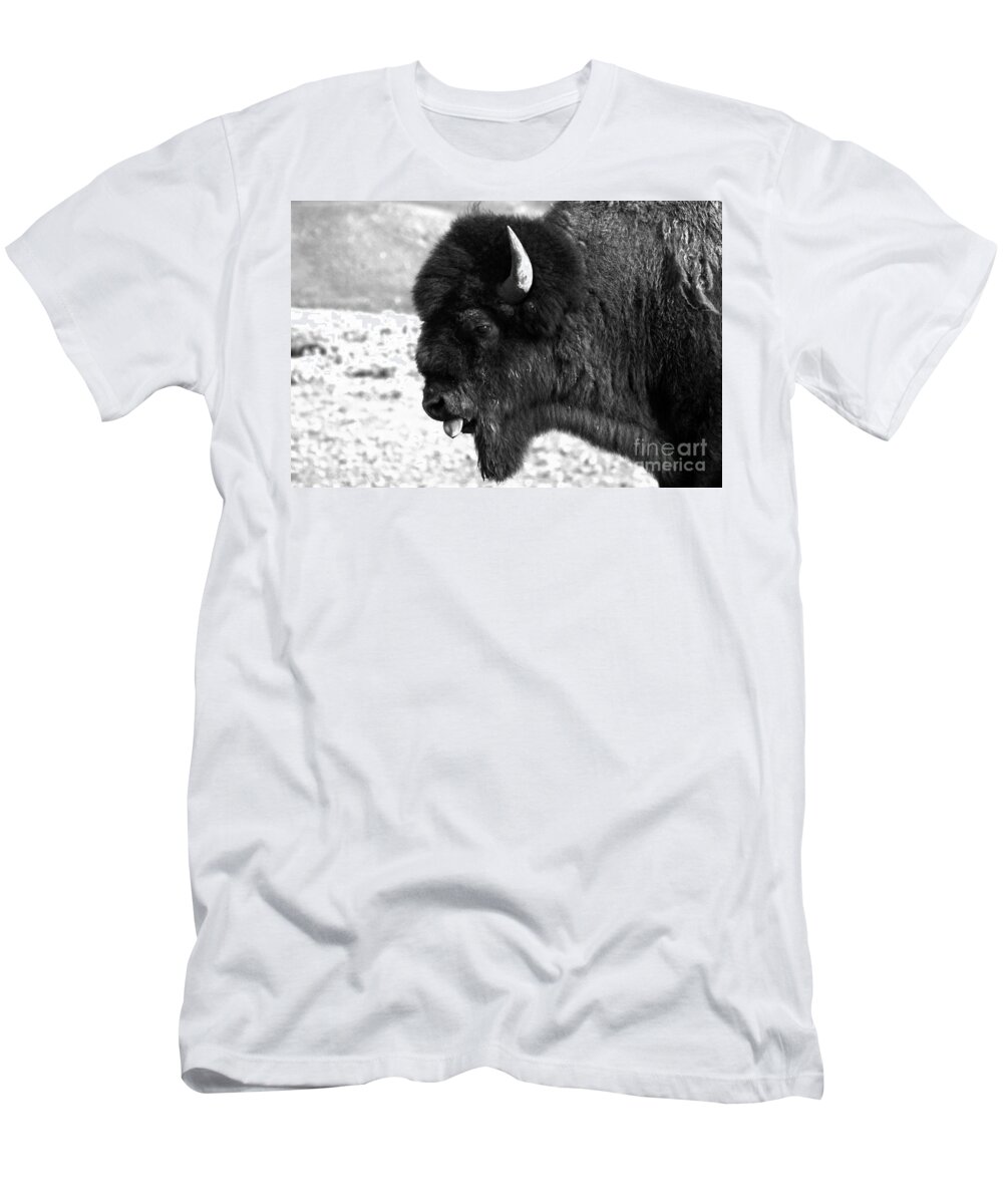 Bison T-Shirt featuring the photograph American Icon Portrait Black And White by Adam Jewell