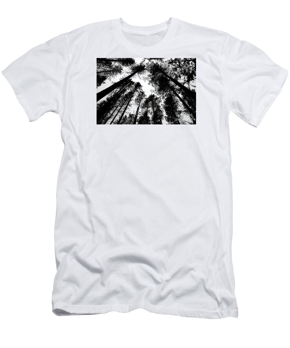 Black White Monchrome Pine Tree T-Shirt featuring the photograph Amongst the Towering Pines by Ken DePue