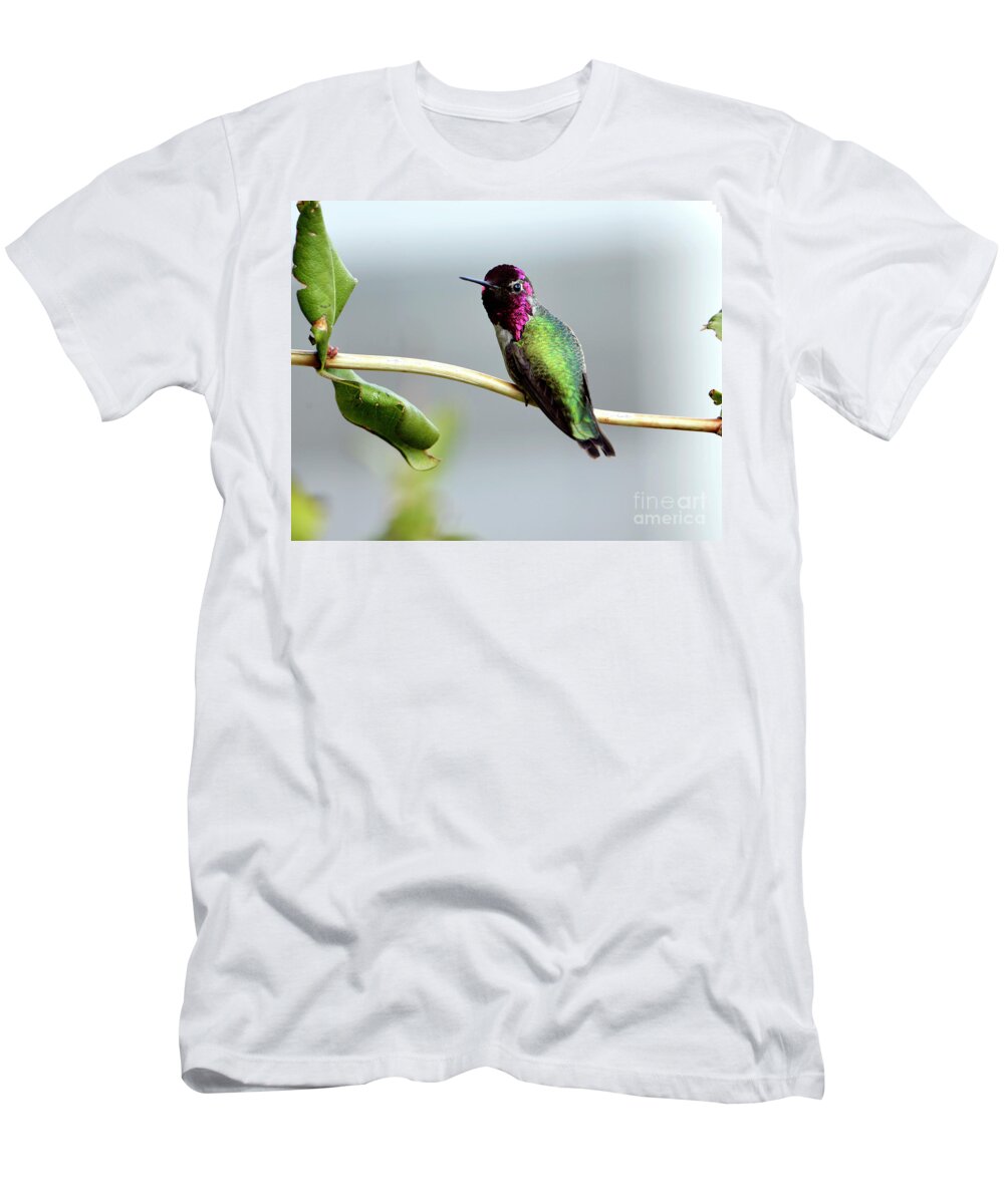 Denise Bruchman T-Shirt featuring the photograph Anna's Hummingbird by Denise Bruchman