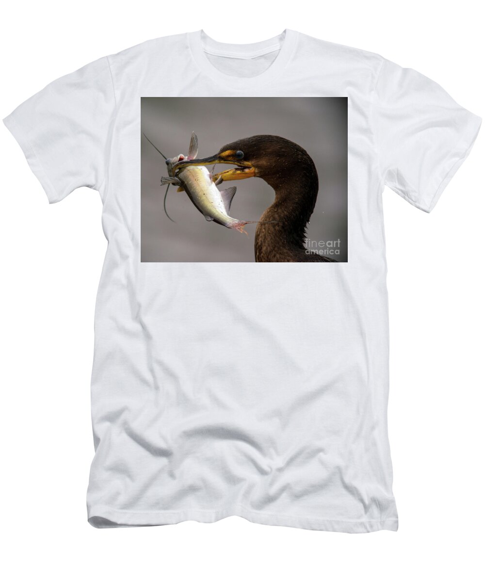 Cormorant T-Shirt featuring the photograph Anyone for Catfish? by Jane Axman