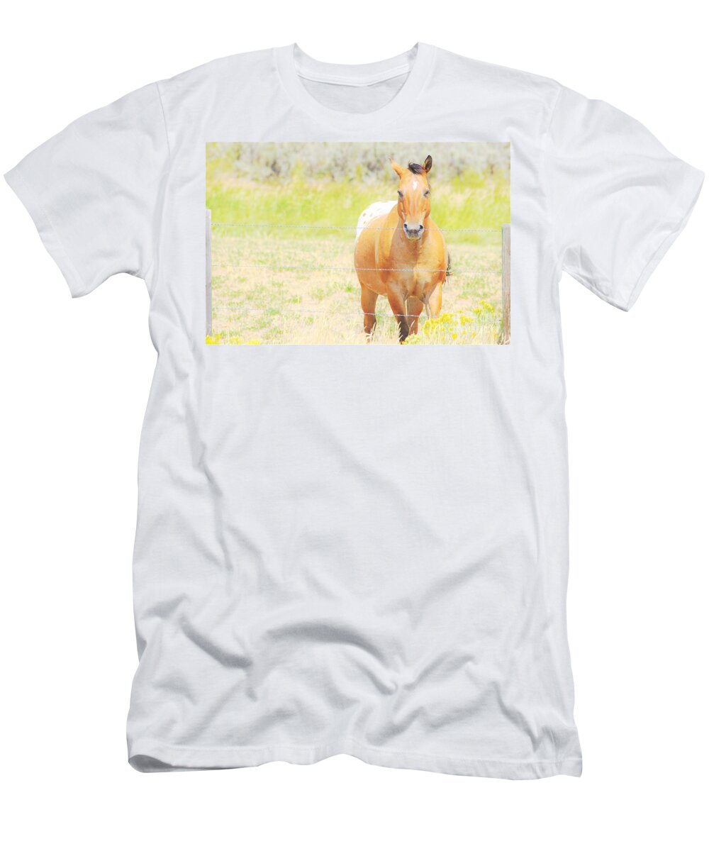 Horse T-Shirt featuring the photograph Appaloosa by Merle Grenz