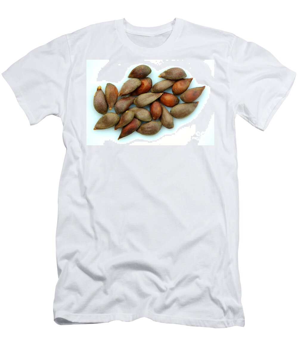 Appleseeds T-Shirt featuring the photograph Apple Seeds by Scimat