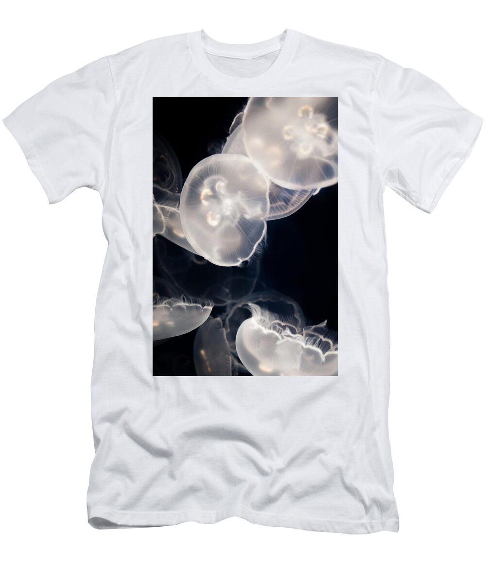 Aquarium Of The Pacific T-Shirt featuring the photograph Aquarium of the Pacific Jumping Jellies by Kyle Hanson