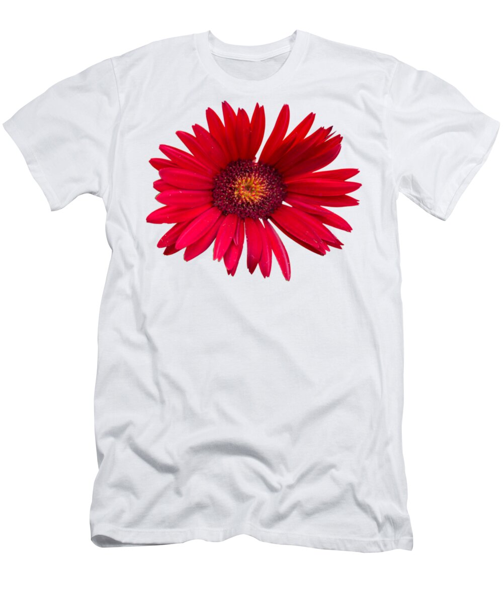 Daisy T-Shirt featuring the photograph Red Fantasy by Brian Manfra