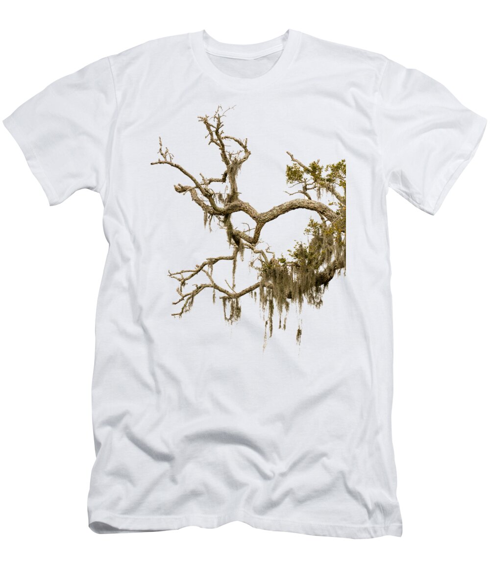 Nature T-Shirt featuring the photograph Branching Out by Christy Cox