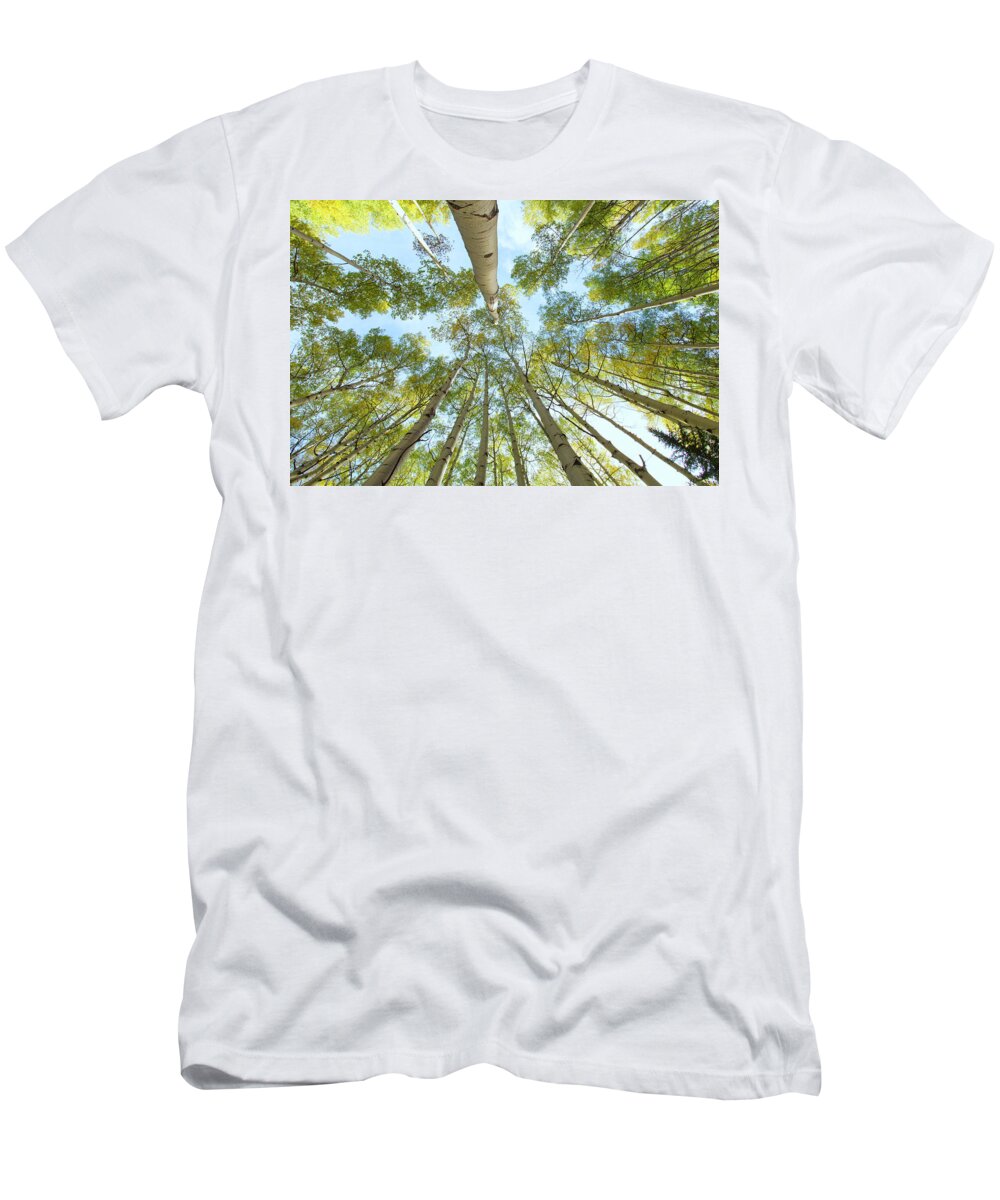 Aspens T-Shirt featuring the photograph Aspen Canopy by Nancy Dunivin