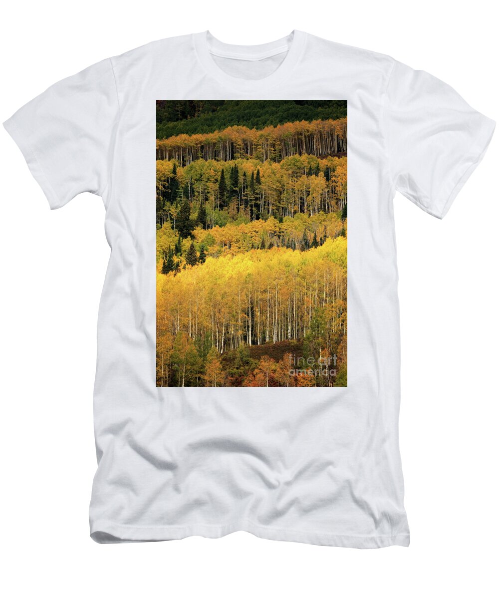 Colorado T-Shirt featuring the photograph Aspen Groves by Doug Sturgess