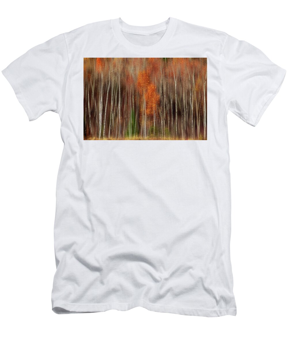 Landscape Photography T-Shirt featuring the photograph Aspen Motion II, Sturgeon Bay by Jakub Sisak